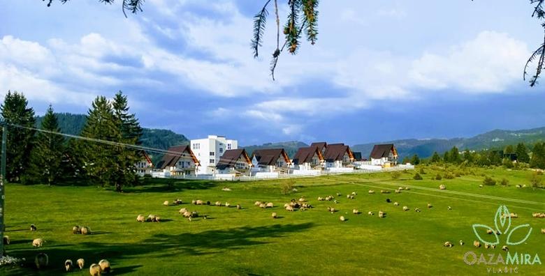 Proljetna idila na Vlašiću - 1 ili 2 noćenja u privatnoj villi od 529 kn!