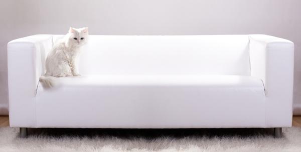 Čišćenje kuće ili stana do 60m2