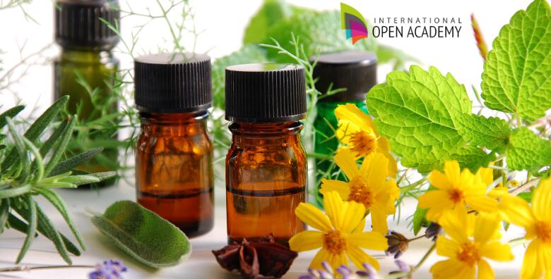 Online tečaj o korištenju ljekovitih biljaka – uz drevne, prirodne tradicije liječenja poboljšajte kvalitetu svog života