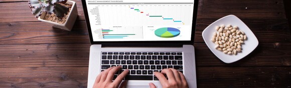 EXCEL - online tečaj sa 5 modula i VIDEO SADRŽAJEM za lakše i brže savladavanje osnovnih i naprednih funkcija najpoznatijeg poslovnog alata današnjice