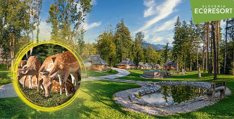 Slovenia Eco Resort - uživajte u bajkovitom okruženju Velike Planine u drvenoj kućici u stilu pastirskih koliba uz 1 ili više noćenja za do 5 osoba i korištenju saune