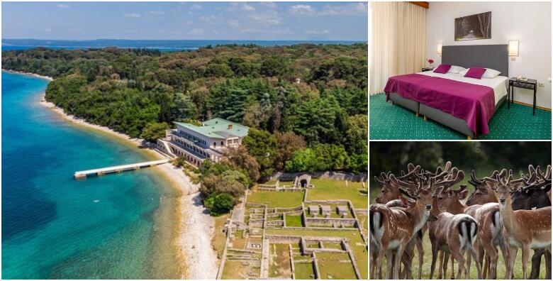 Odmor na Brijunima - 2 noćenja s polupansionom za dvoje u Hotelu Neptun 3* za 1.500 kn!