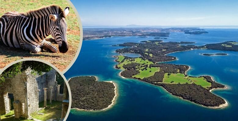 BRIJUNI, Hotel Istra 3* - bijeg od stvarnosti u drugačiji svijet flore i faune uz 2 noći s polupansionom za 2 osobe + prijevoz brodom, ulaznice za NP i muzeje