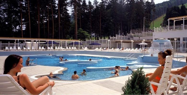 Terme Maribor 4* - 1, 2 ili 3 noći s polupansionom za dvoje uz kupanje i saune od 953 kn!