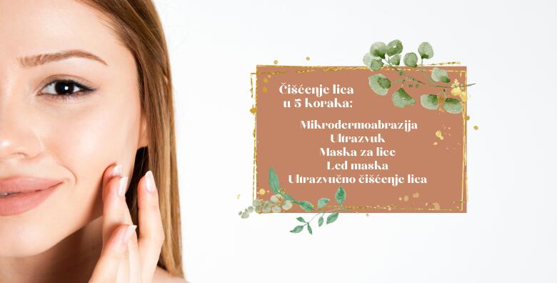 POPUST: 63% - Čišćenje lica u 5 koraka - mikrodermoabrazija, ultrazvuk, maska za lice, led maska i ultrazvučno čišćenje lica u La Camilla Beauty baru (La Camilla Beauty bar)