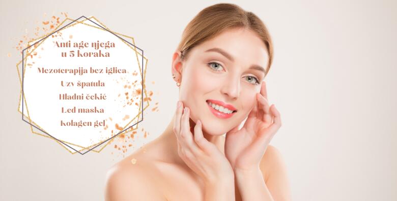 POPUST: 63% - Anti age njega u samo 5 koraka! Mezoterapija bez iglica, uzv špatula, hladni čekić, led maska i kolagen gel u La Camilla Beauty baru (La Camilla Beauty bar)