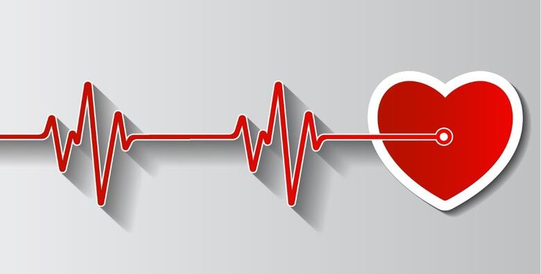 UZV srca i EKG