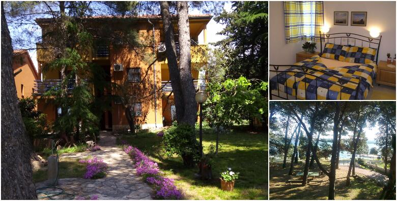 Fitness radionica u Sv. Filipu i Jakovu – jedinstveni paket za cijelu ekipu uz 7 noćenja za 4 osobe 30 metara od mora uz treninge 2 x dnevno s vrhunskim trenerom za 3.999 kn!