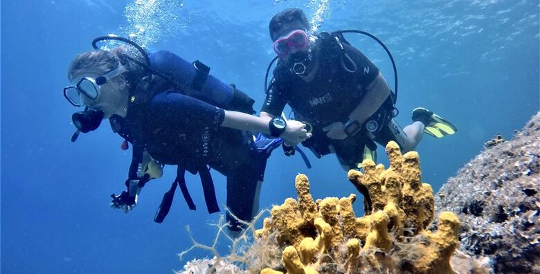 Scuba diving - zaroni s broda