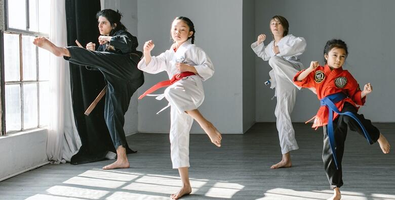 Judo ili taekwondo -50% Maksimir