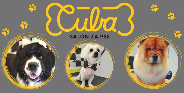 POPUST: 36% - NJEGA KUĆNIH LJUBIMACA - priuštite svojem dlakavcu  makeover od glave do repa u salonu za njegu pasa Cuba (Cuba - salon za pse)