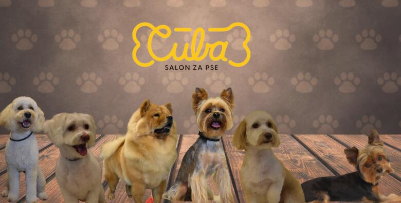 NJEGA KUĆNIH LJUBIMACA – priuštite svojem dlakavcu makeover od glave do repa u salonu za njegu pasa Cuba