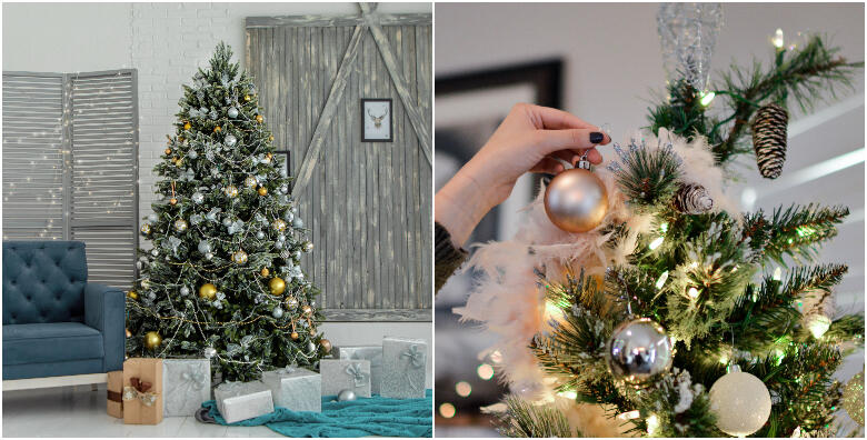 Zagreb, BOŽIĆNO DRVCE – smreka visine 1,7 do 2,5 m intenzivnog mirisa, lijepog oblika i hrvatskog podrijetla s preuzimanjem od 14.12. za samo 99 kn!