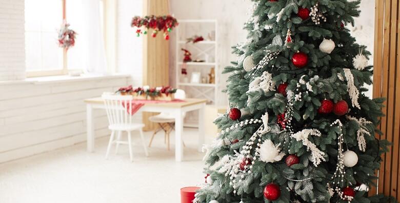 POPUST: 48% - BOŽIĆNO DRVCE, RIJEKA - razveselite najdraže božićnom smrekom visine 1,7 do 2,5 m intenzivnog mirisa, lijepog oblika i hrvatskog podrijetla za samo 99 kn! (Božićna drvca za Vaš dom - obrt za trgovinu)