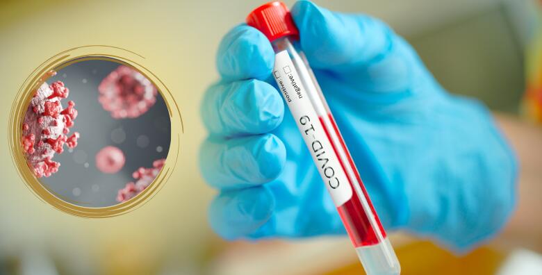 SPLIT, vađenje antitijela iz krvi za COVID-19 - otkrijte jeste li bili izloženi virusu u Poliklinici Falcon Peregrin