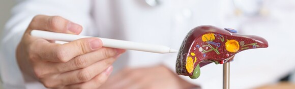 Mislite na zdravlje svoje JETRE! Obavite laboratorijske pretrage i saznajte zdravstveno stanje najvažnijeg organa za ljudski metabolizam uz nalaze ISTI DAN