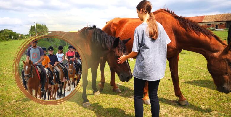 JAHANJE - podružite se s plementim konjima uz individualni tečaj jahanja od 3 sata ili uživajte na obiteljskom pikniku u OPG-u Liberta