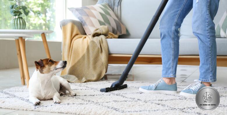 Osvježite svoj dom uz čišćenje i pranje tepiha ili tepisona veličine do 4 m2 sa odvozom i dovozom uz obrt Od danas do sutra