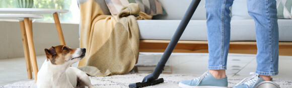Osvježite svoj dom uz čišćenje i pranje tepiha ili tepisona veličine do 4 m2 sa odvozom i dovozom uz obrt Od danas do sutra