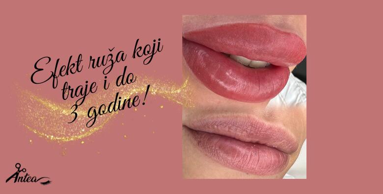 Trajna šminka na usnama Aquarelle-20%