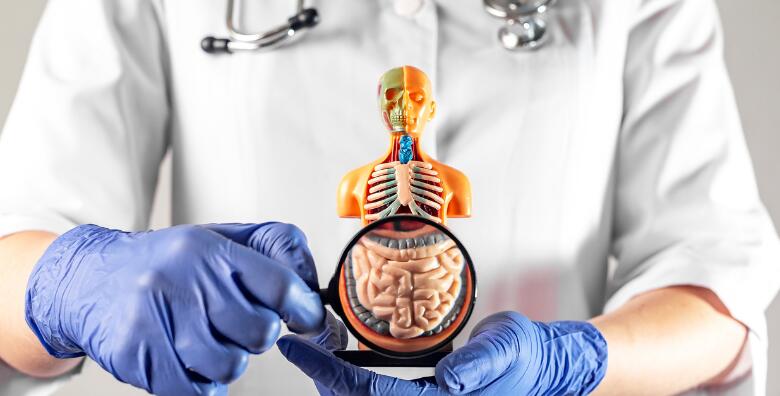 Spriječite probavne, kožne, autoimune i hormonske tegobe, glavobolje, umor i moguće karcinome uz TEST BIOENERGETSKE ANALIZE DISBIOZE