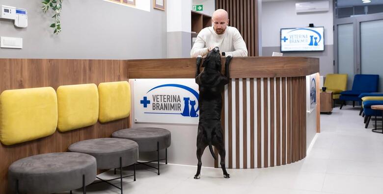 Ponuda dana: Vaš ljubimac je u bolovima? Pomoću inovativne ACP terapije liječite stanja poput tendinitisa, osteoartritisa, ozljeda mišića i ligamenata u Veterini Branimir (Veterina Branimir)