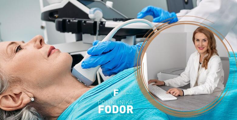 POPUST: 57% - Color doppler karotida i vertebralnih arterija u Poliklinici Fodor uz odmah gotove nalaze (Poliklinika Fodor)