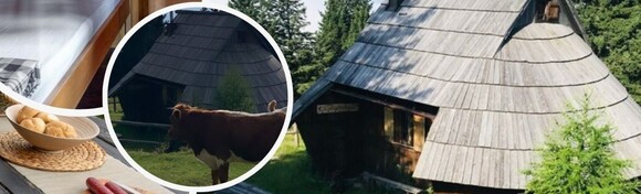 OBITELJSKI ODMOR NA VELIKOJ PLANINI - uživajte u čarobnoj prirodi uz 2 noćenja za 2 odrasle osobe i do 3 djece u vikendici po izboru u planinarskom domu Alpine Resorts