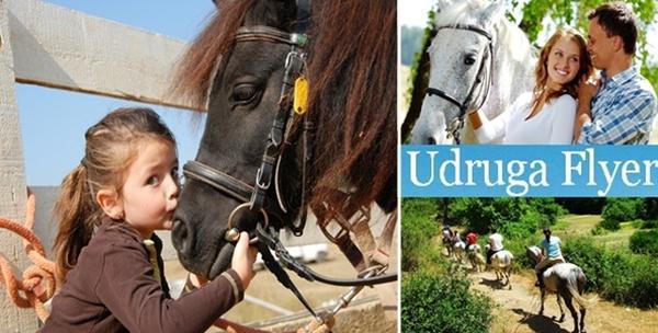 Jahanje - probno jahanje sa pripremom konja + 1 sat jahanja