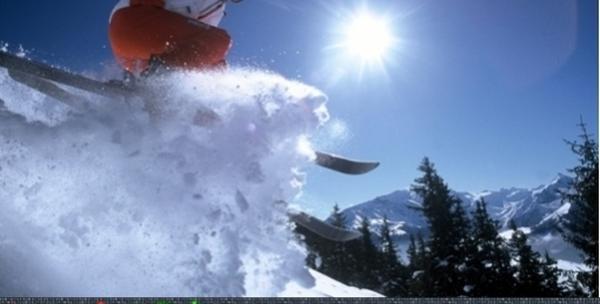 Servis skija -54% Šestine
