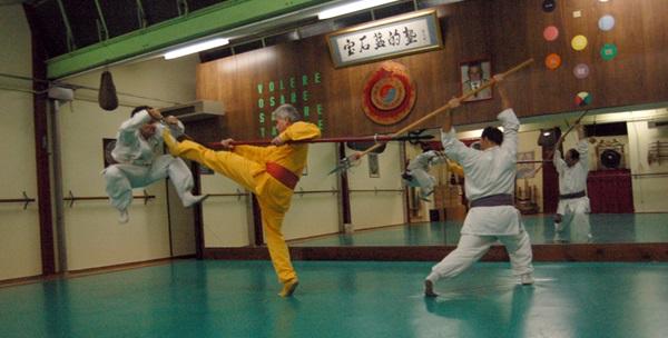 Kung fu 1mj -51% Trnje